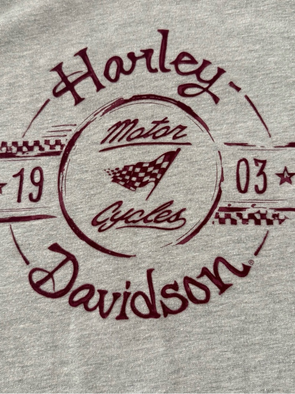 Harley Davidson Hoodie 03 Graphic Colorblock Thermal Sleeve Women’s 2XL - Picture 11 of 12